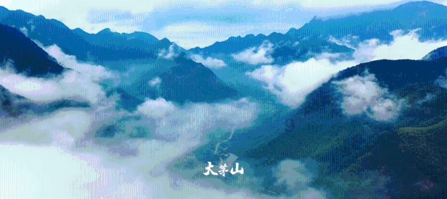 极品飞车19